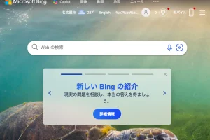 [Index Now 使い方] Bing用ページ更新通知PHP